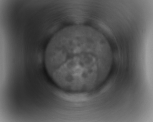 X0000092330032200709211315