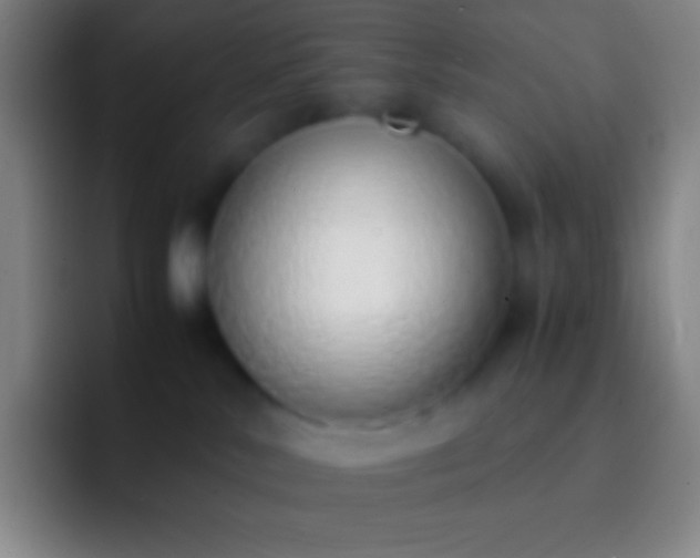 X0000092330042200709211315