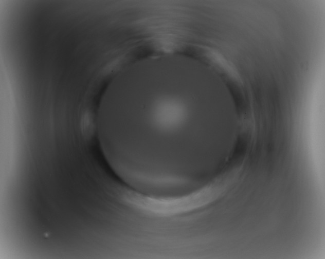 X0000092330043200709211315