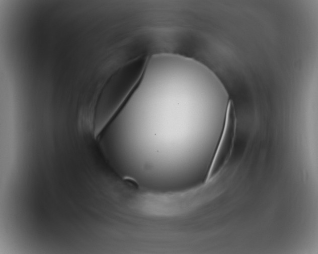 X0000092330045200709211315