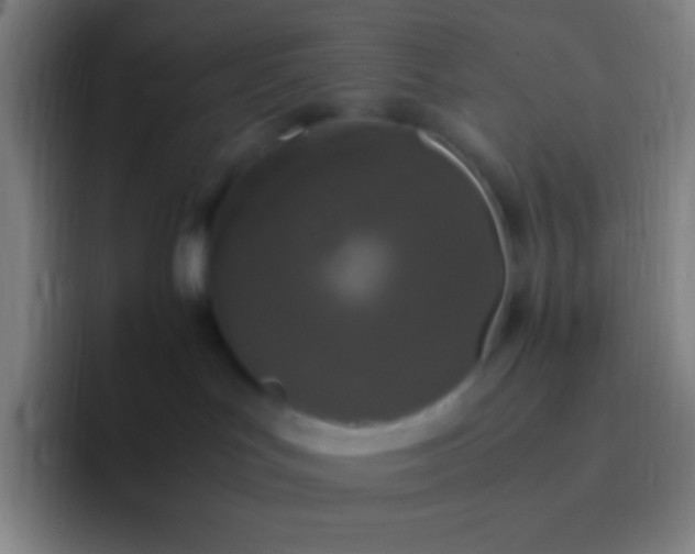 X0000092330047200709211315