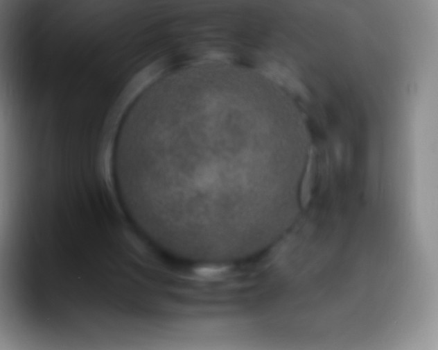 X0000092330051200709211314