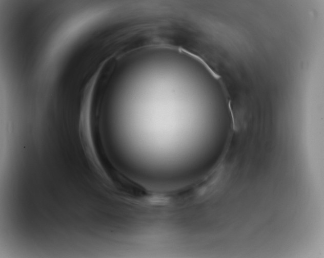 X0000092330052200709211314