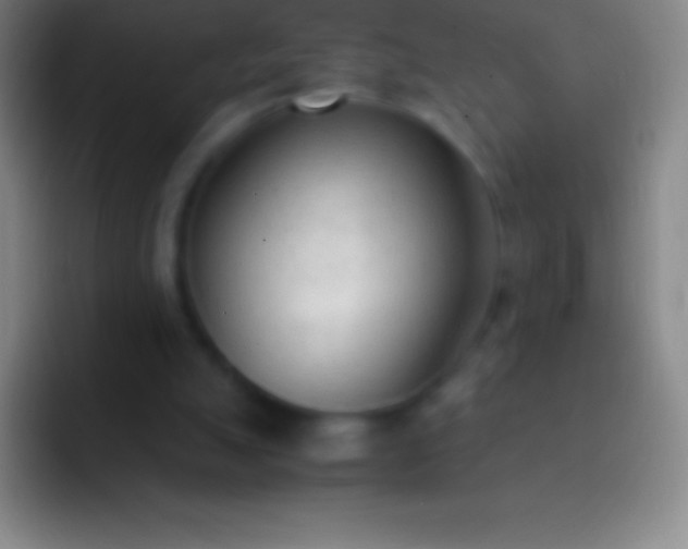 X0000092330055200709211314