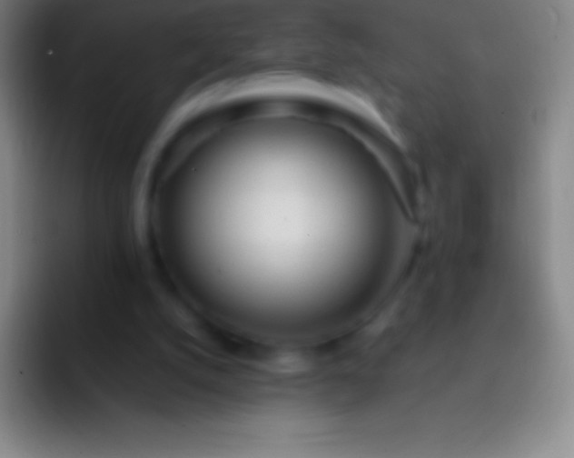 X0000092330056200709211314