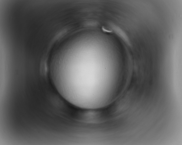 X0000092330059200709211314