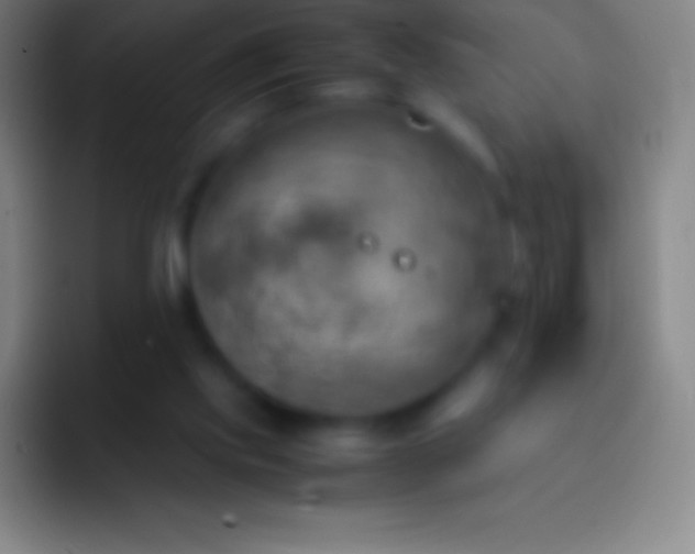 X0000092330061200709211314