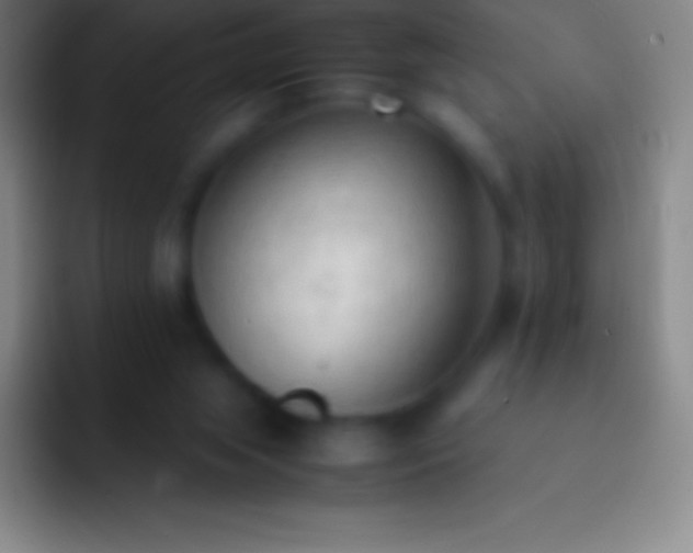 X0000092330063200709211314