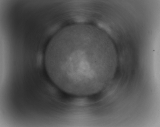 X0000092330066200709211314