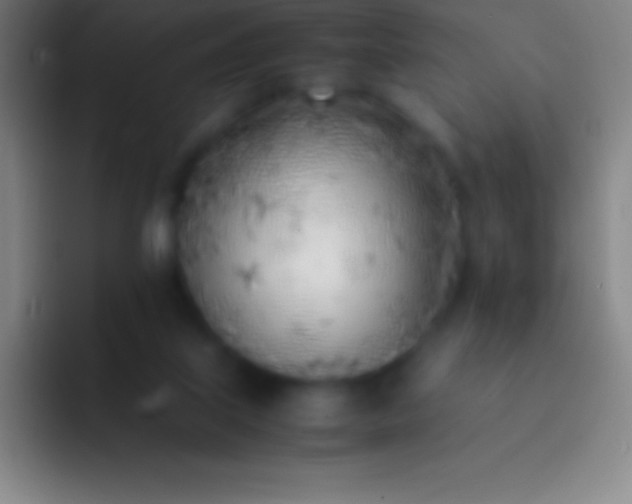 X0000092330067200709211314