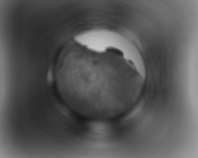 X0000092330069200709211314