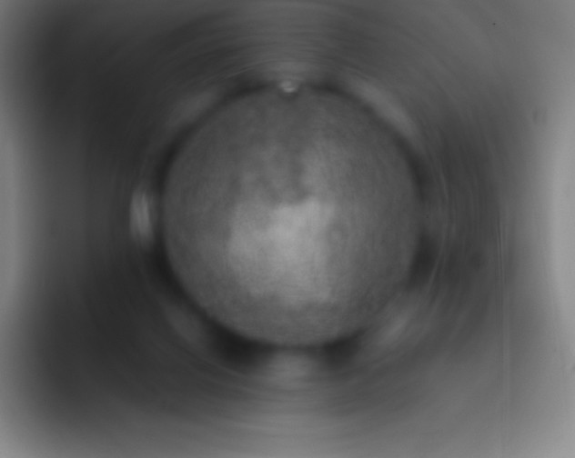 X0000092330070200709211315