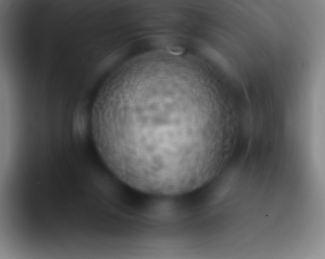 X0000092330071200709211315