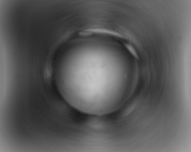 X0000092330072200709211315