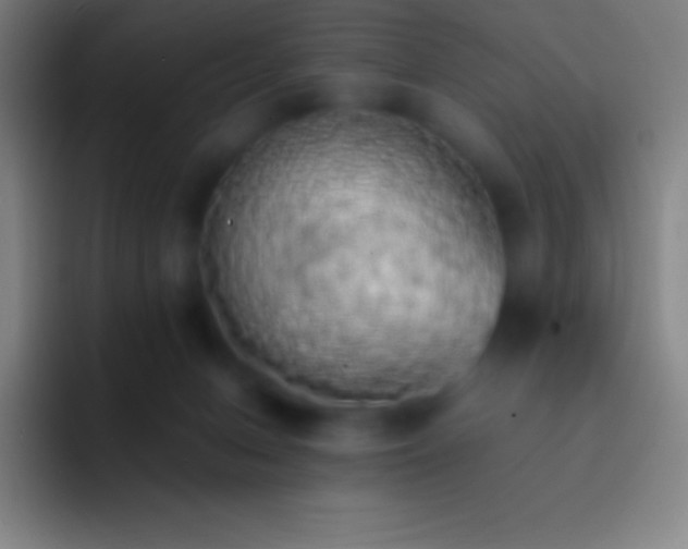 X0000092330078200709211315