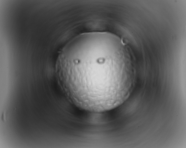 X0000092330085200709211315