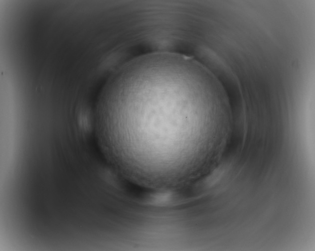 X0000092330090200709211315