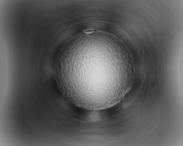 X0000092330091200709211315
