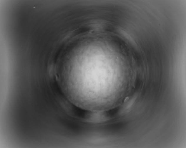 X0000092330093200709211315