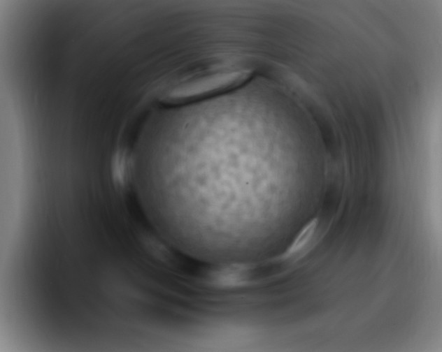 X0000092330094200709211315