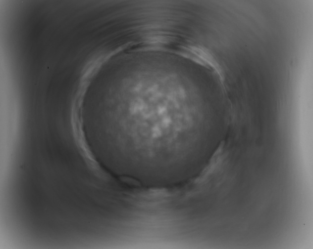 X0000092330097200709211314