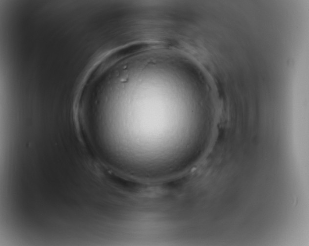 X0000092330099200709211314