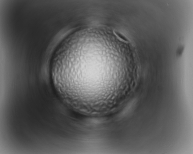 X0000092330103200709211314