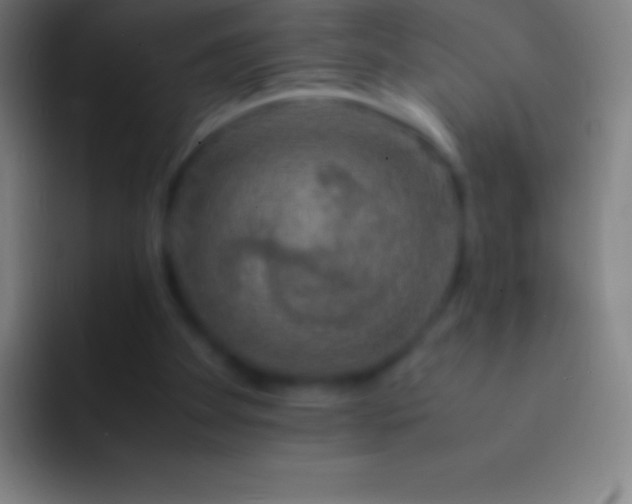 X0000092330105200709211314