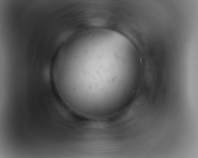 X0000092330106200709211314