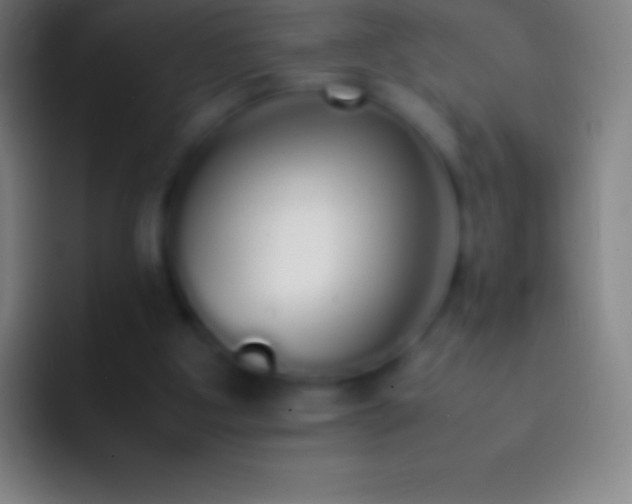 X0000092330107200709211314