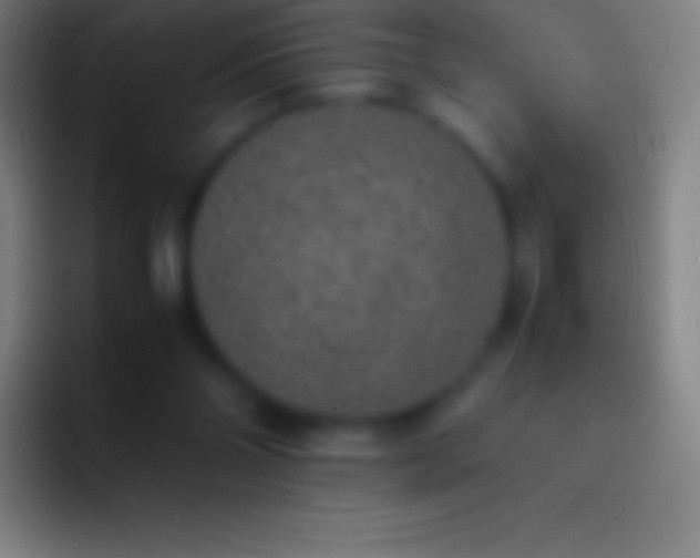 X0000092330110200709211314