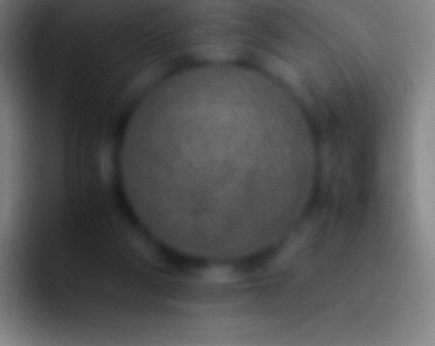X0000092330114200709211314