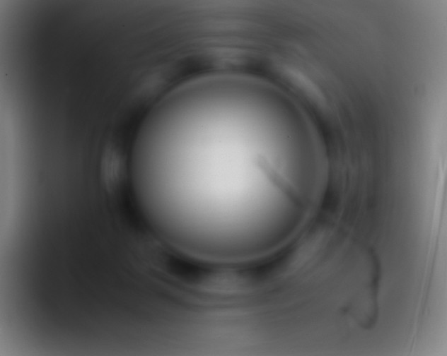 X0000092330123200709211314