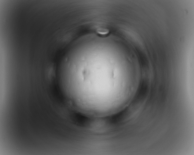 X0000092330127200709211314