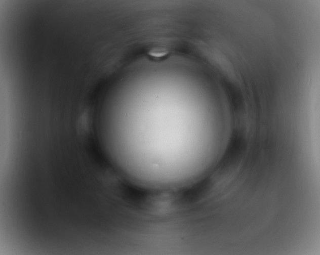 X0000092330131200709211314
