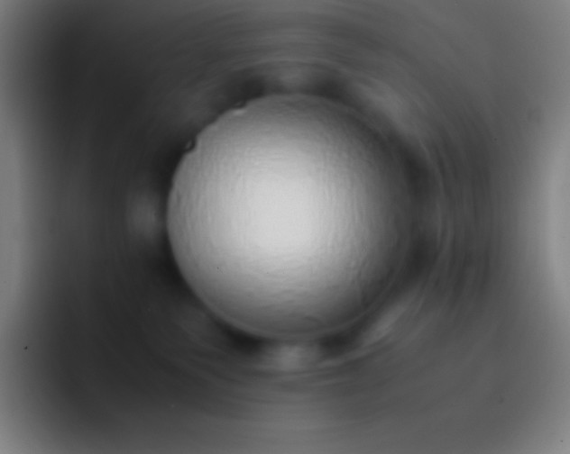X0000092330135200709211314