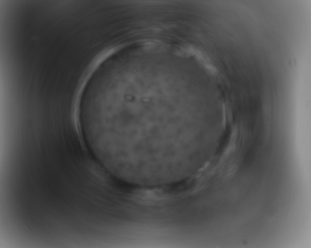 X0000092330147200709211313