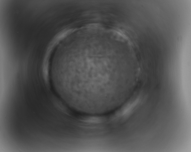 X0000092330149200709211313