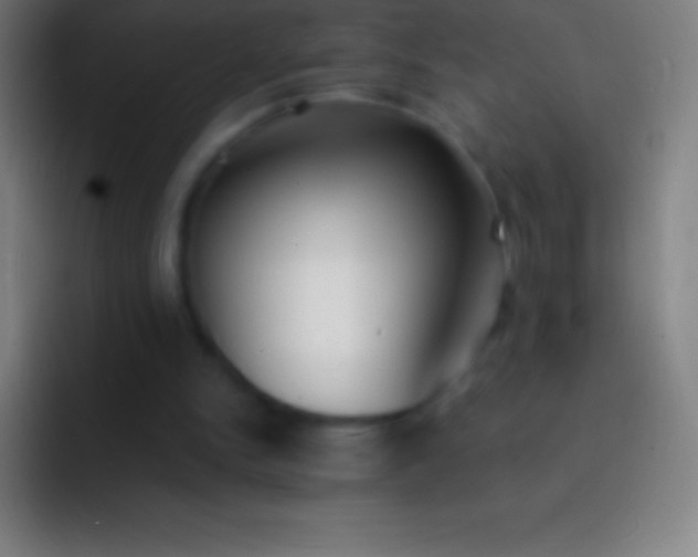 X0000092330150200709211313
