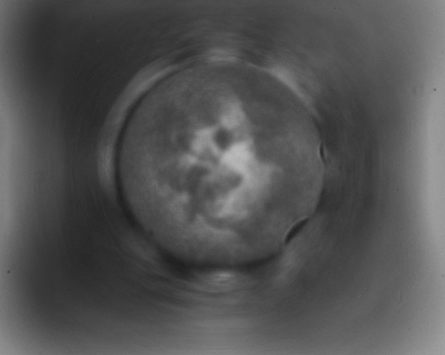 X0000092330151200709211313