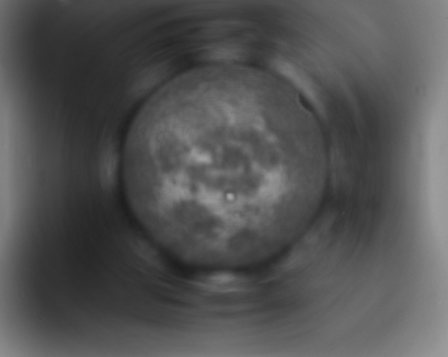 X0000092330153200709211313