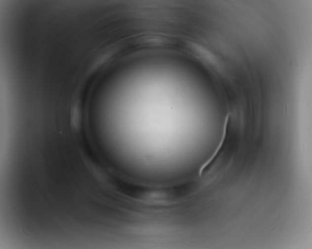 X0000092330158200709211313