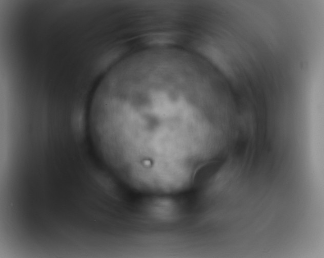 X0000092330159200709211313