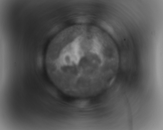 X0000092330161200709211313
