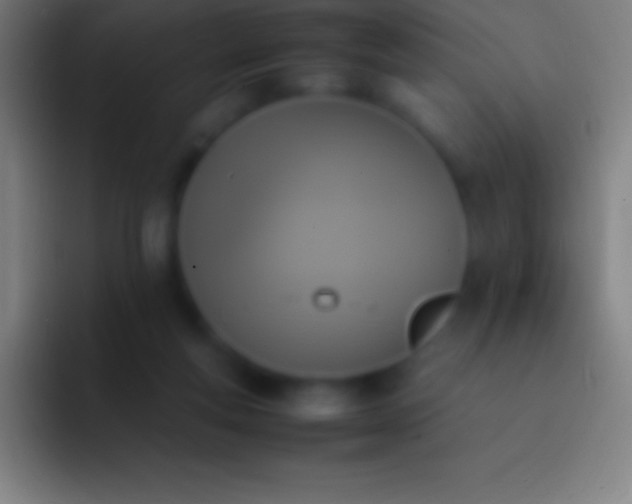 X0000092330163200709211313