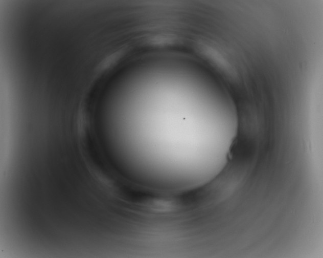 X0000092330164200709211313