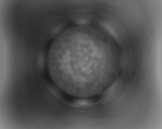 X0000092330171200709211313