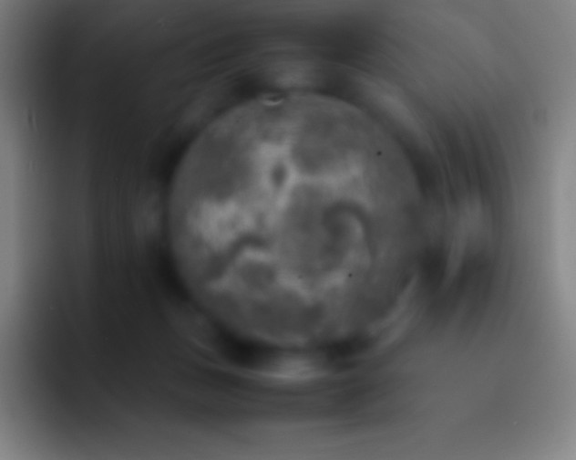 X0000092330175200709211313