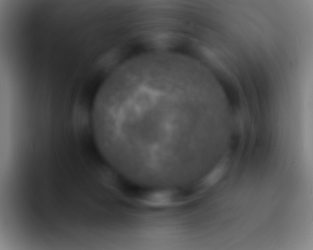 X0000092330178200709211314