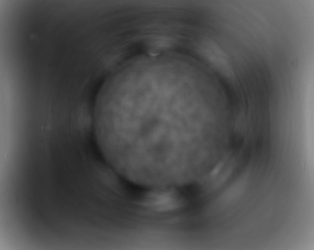 X0000092330179200709211314